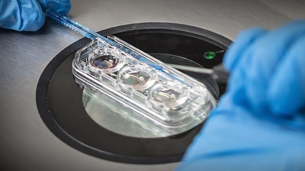Возможность выбирать самые здоровые эмбрионы для оплодотворения в пробирке