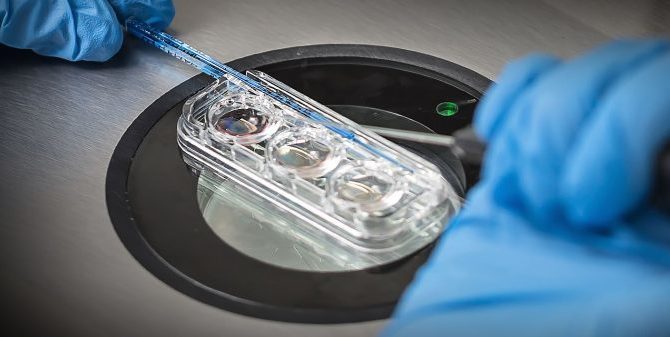 Возможность выбирать самые здоровые эмбрионы для оплодотворения в пробирке